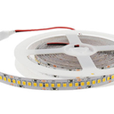 TIRA LED APOLO 24V IP20 S110 9,6W 126Leds/m 10M/ROLLO CORTE 55MM